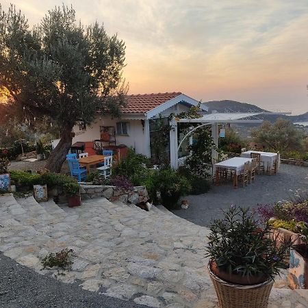 Mavi Kelebek Datca Hotel Bagian luar foto