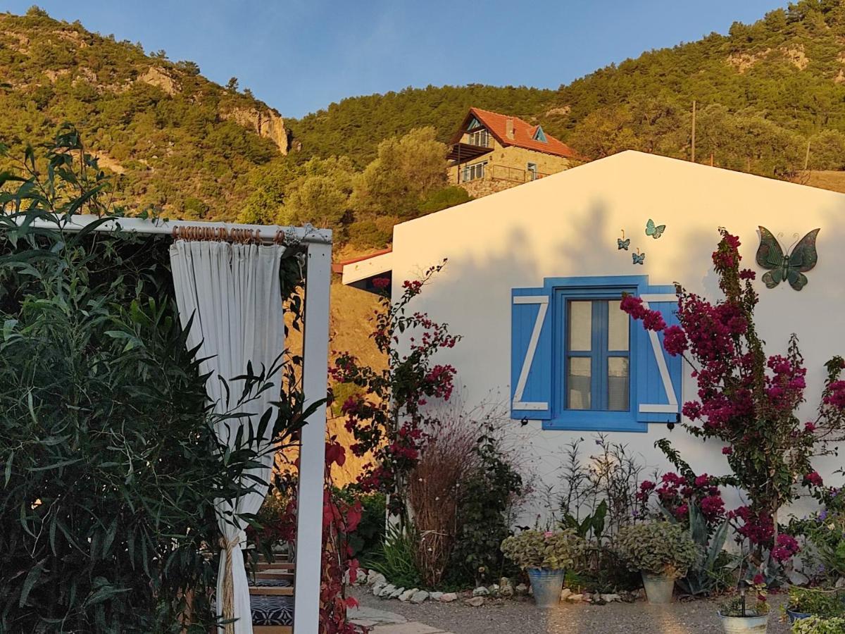 Mavi Kelebek Datca Hotel Bagian luar foto