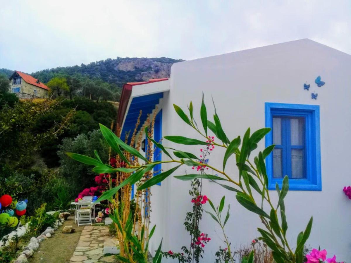 Mavi Kelebek Datca Bagian luar foto