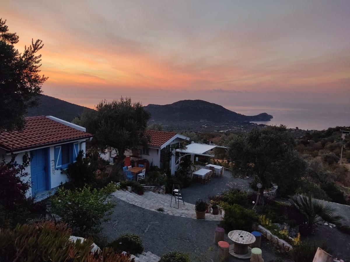 Mavi Kelebek Datca Hotel Bagian luar foto