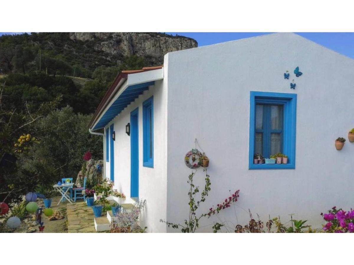 Mavi Kelebek Datca Hotel Bagian luar foto