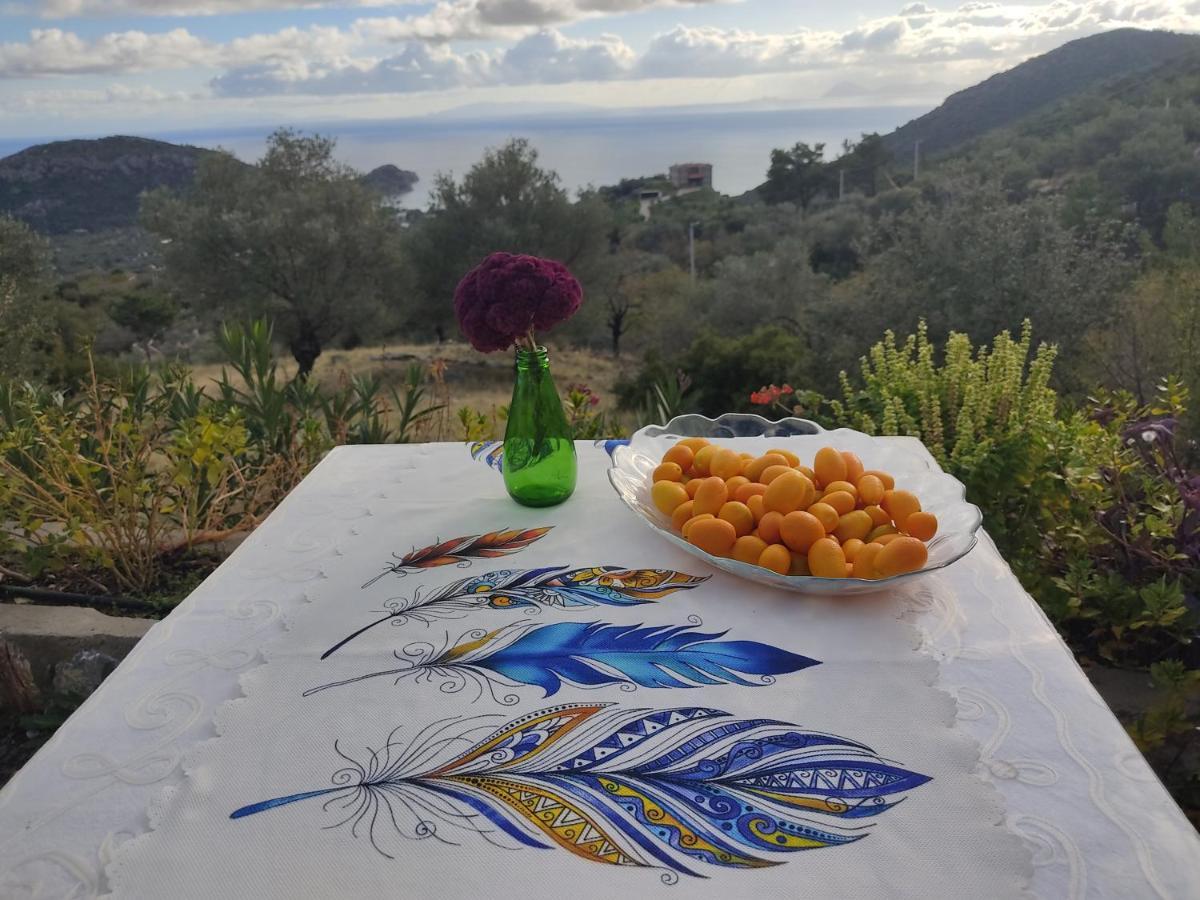 Mavi Kelebek Datca Hotel Bagian luar foto