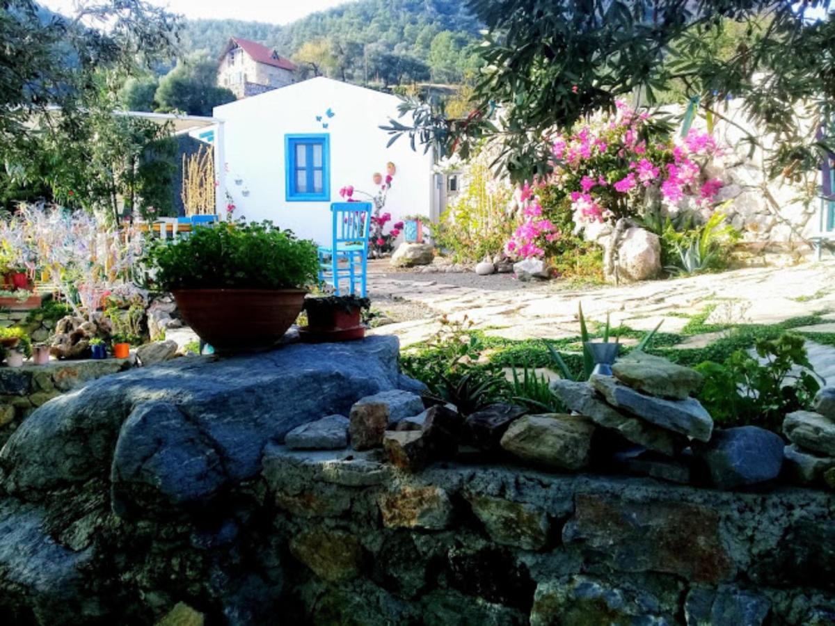 Mavi Kelebek Datca Bagian luar foto