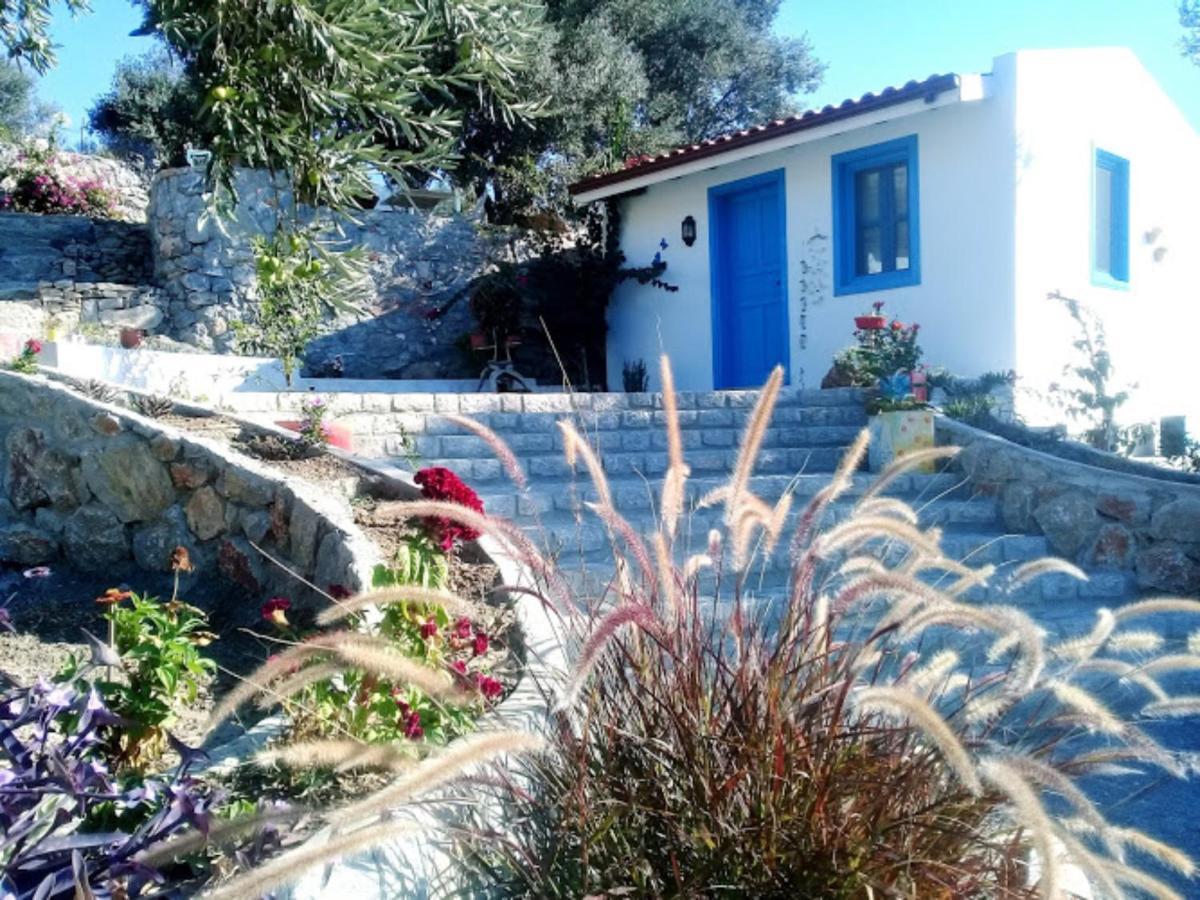 Mavi Kelebek Datca Hotel Bagian luar foto